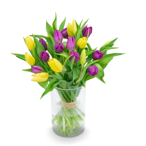 Kytice  tulipánů